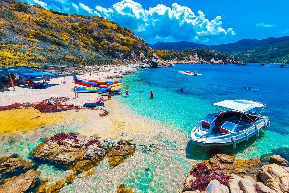 Les vignobles de Ninh Thuan