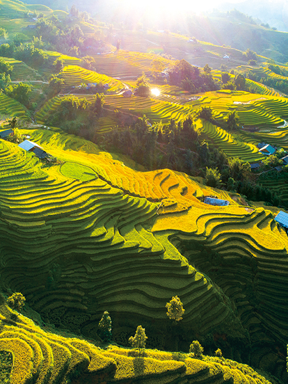Sejour-au-Vietnam