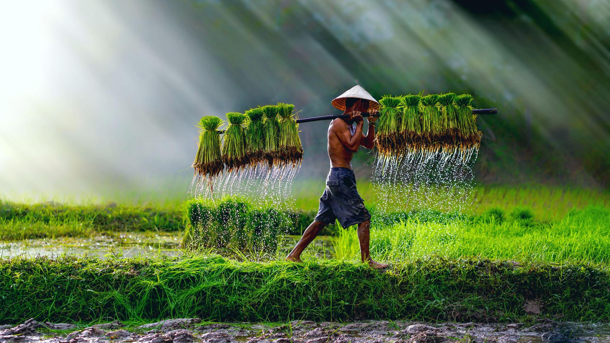 Laos