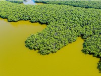 Le parc national de Xuan Thuy : joyau écologique au cœur du delta du fleuve Rouge