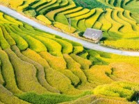 Les rizières en terrasse à Y Ty : un trésor naturel suspendu aux confins du Vietnam
