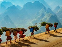 Visiter le Nord Vietnam en mars : Guide complet pour une explosion de couleurs et de traditions