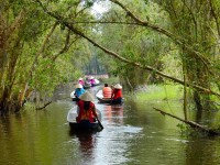 Le village flottant de Tan Lap à Long An : un joyau secret au cœur du Delta du Mékong