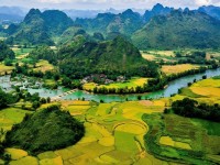 Les rizières en terrasse à Cao Bang : Un trésor paysager entre ciel et montagnes