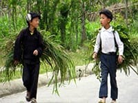 Voyage au Vietnam via les vidéos