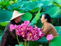 Le village de la soie et de lotus de Phung à My Duc Hanoi : Héritage, artisanat et innovation