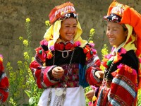 La bourgade de Pho Bang à Ha Giang : un trésor caché du Nord du Vietnam