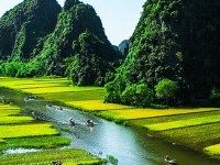 Quelques festivités à profiter durant votre voyage au Vietnam