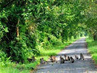 Comment aller à Phu Quoc depuis Hanoi : le guide complet pour un voyage fluide et réussi