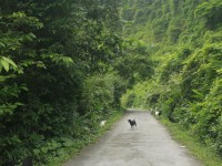 Le village des pêcheurs de Viet Hai à Cat Ba : une oasis cachée entre mer et jungle