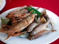 Poissons de ruisseau à Moc Chau