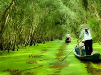 Xeo Quyt à Dong Thap : un joyau naturel et historique du delta du Mékong