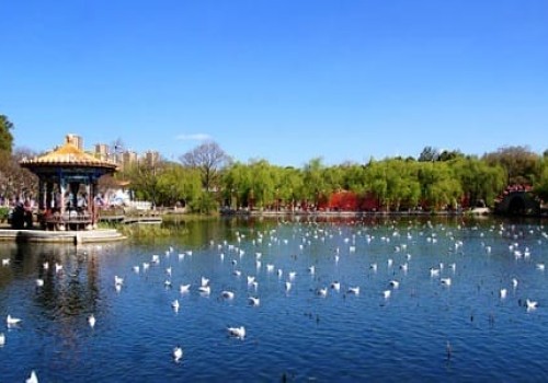 Kunming - Yunnan