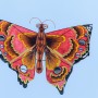 La fabrication des cerf-volants à Hué : art artisanal depuis plus de 300 ans