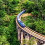 Quand partir au Sri Lanka : guide pratique pour votre voyage 