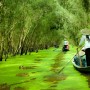 Xeo Quyt à Dong Thap : un joyau naturel et historique du delta du Mékong