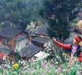 Village de Lao Xa – Plateau de Dong Van