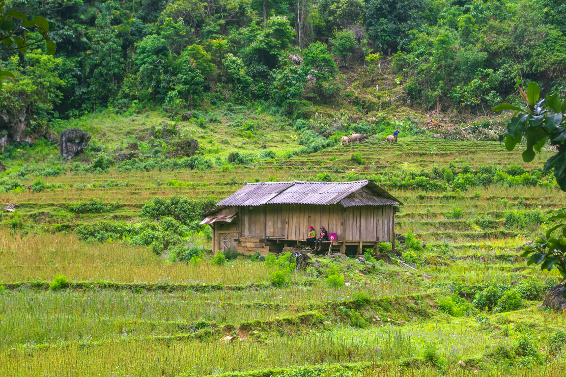 trek-lai-chau
