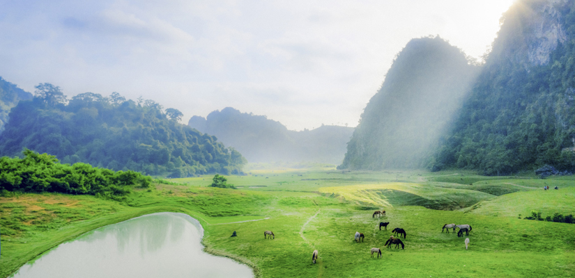 Vallée-de-Lang-Son