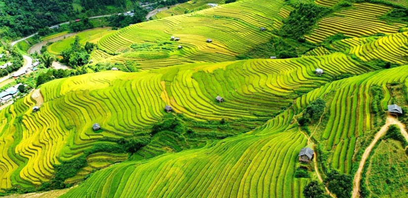 Nghia-Lo-Yen-Bai