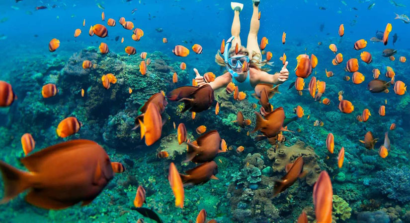 Snorkling-a-Phu-Quoc