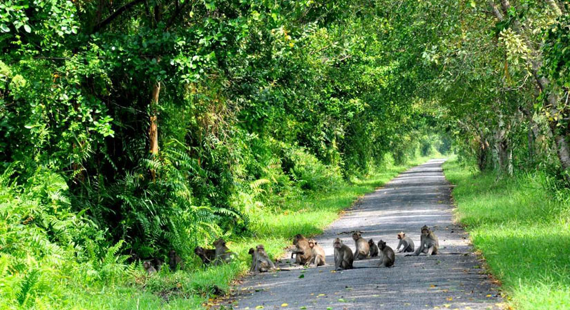 Randonnee-a-Phu-Quoc