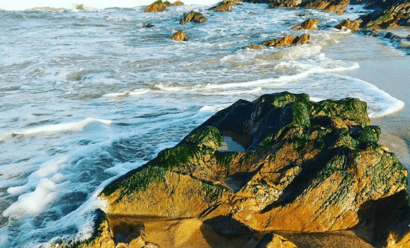 Plage-de-Da-Nhay