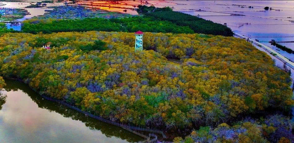 Hue