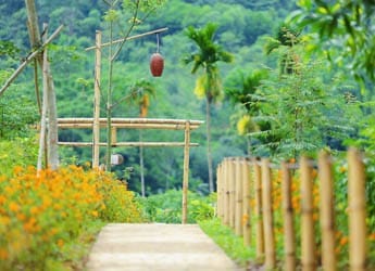 Jardin-aux-fleurs-Om-Tara-Retreat