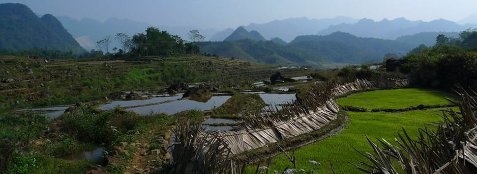 Pu-Luong
