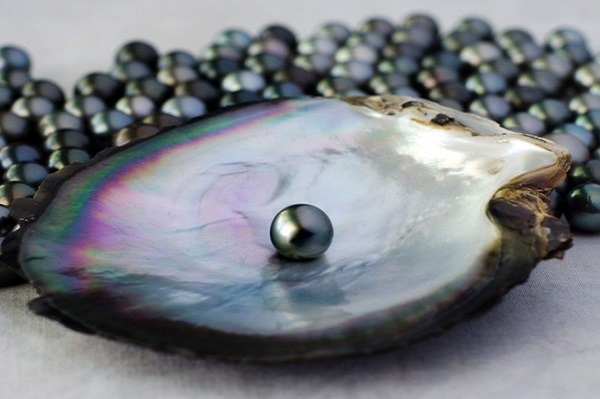 Perles noires rondes sont très rares