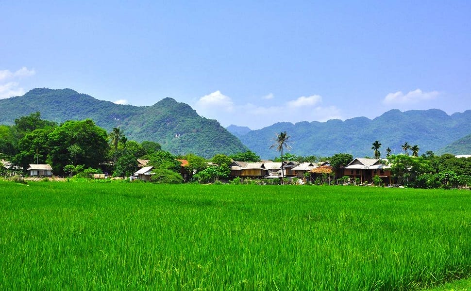 Les rizi竪re � perte de vue, Mai Chau
