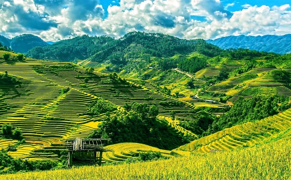 Mu Cang Chai possède de plus beaux champs en terrasse