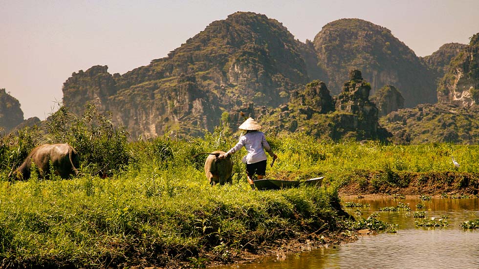 Yen-Mac-Ninh-Binh