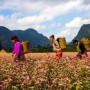 Le loop de Ha Giang, souvenir inoubliable 