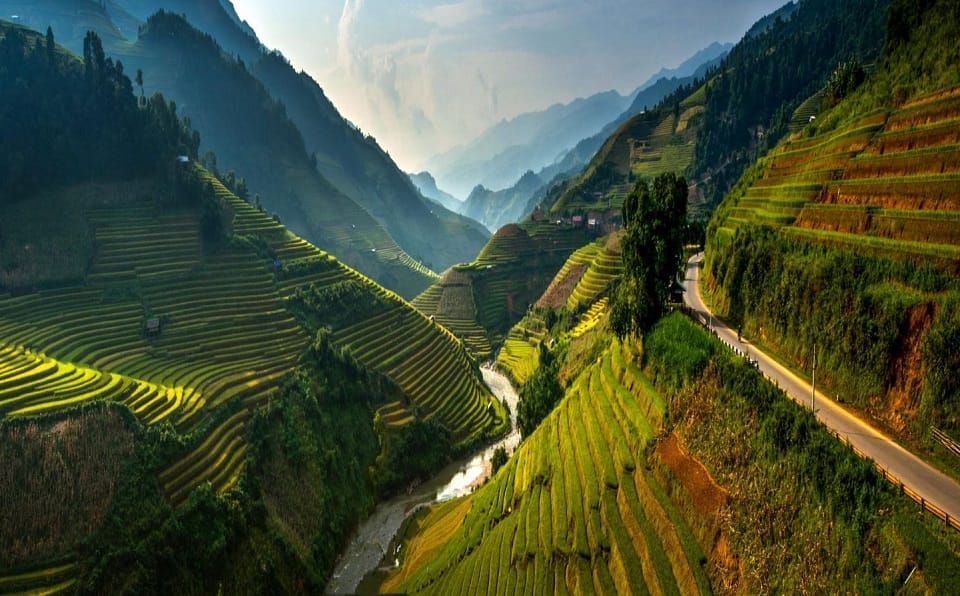 Ha Giang en saison de repiquage